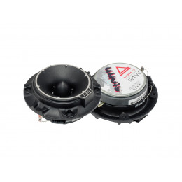 Aura STORM-T3 RMS-51W MAX-91W  Диаметр 10См