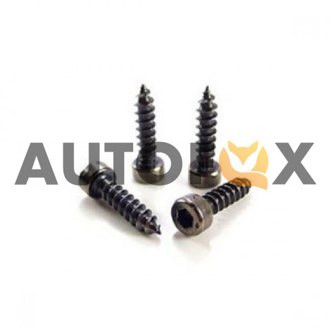 Саморез AudioNova Hexagonal screws Black 4*25mm (1 шт.)